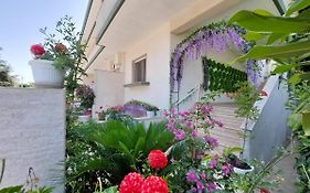 Casa Di Sofia